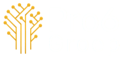 logo Pro6 Groep